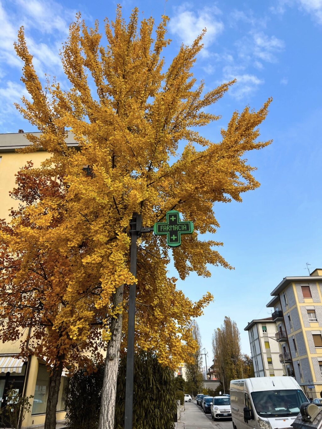 Croce a Led Farmacia Pasinato